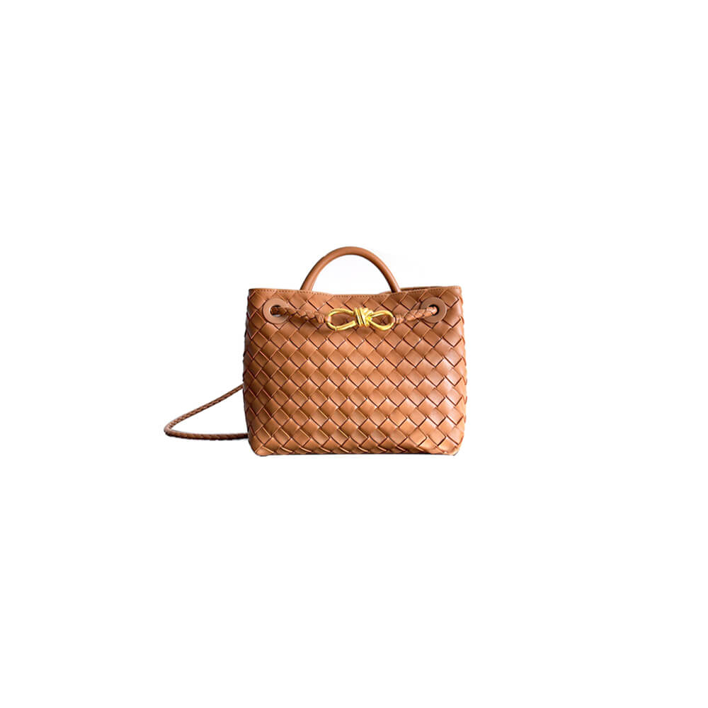 Bottega Veneta Small Andiamo