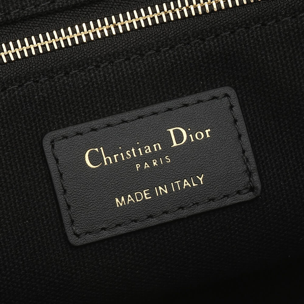 Small Dior Book Tote