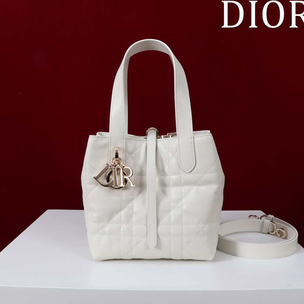 Small Dior Toujours Vertical Tote Bag(high-end grade)