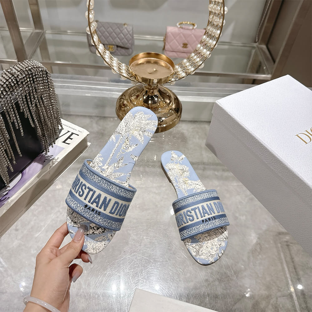 DIOR Dway Slide
