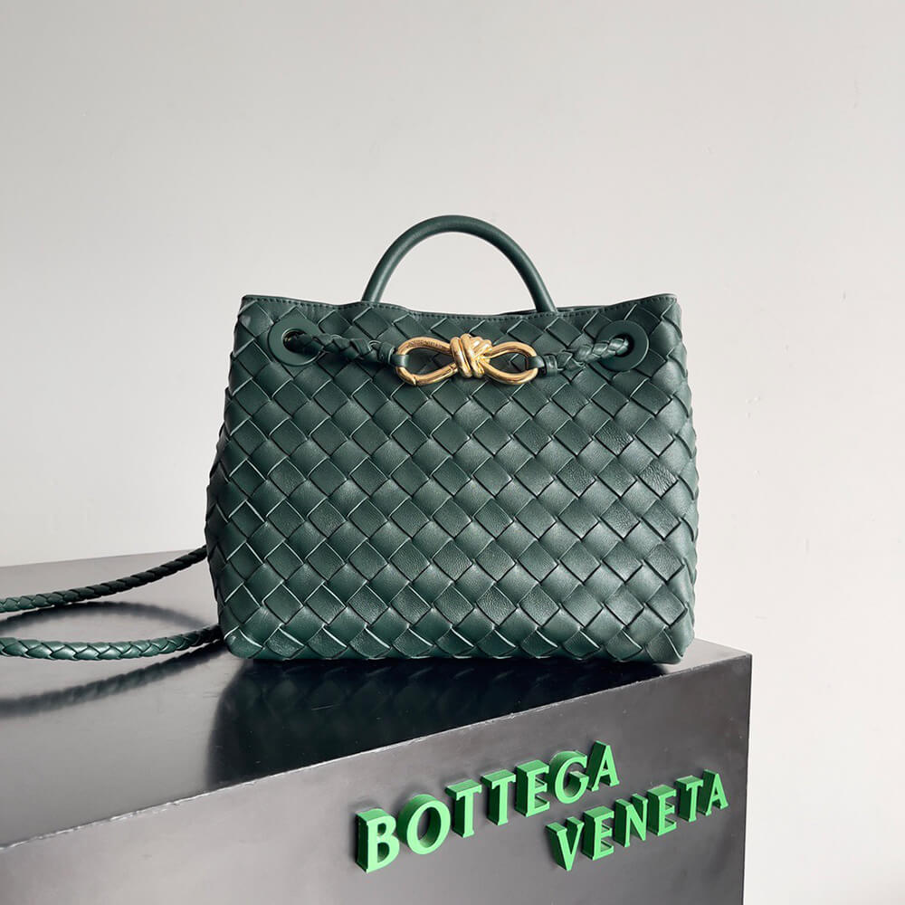 Bottega Veneta Small Andiamo
