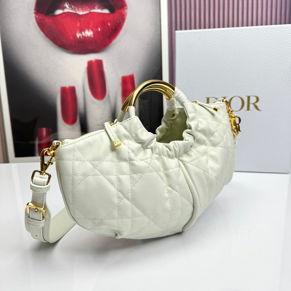 Dior Walk in Dior Purse