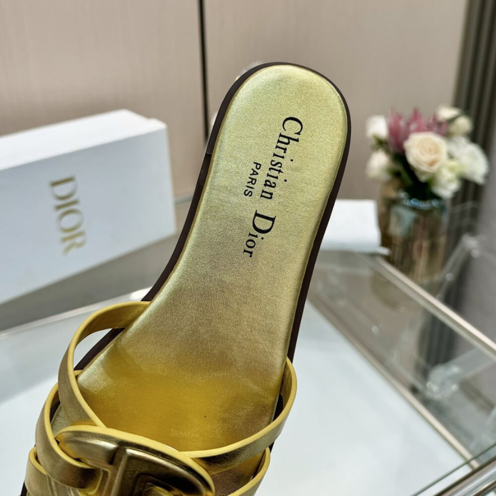DIOR D-Club Slide